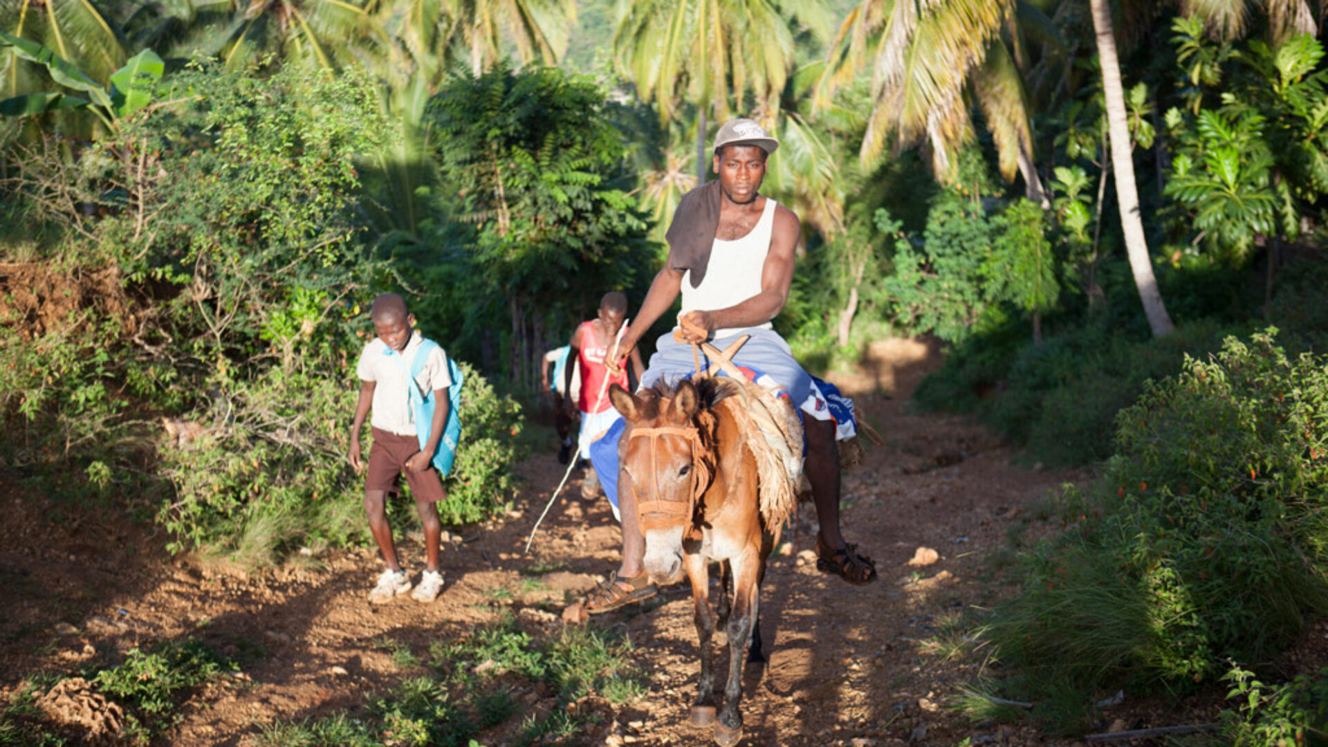 abf_3com-project_004