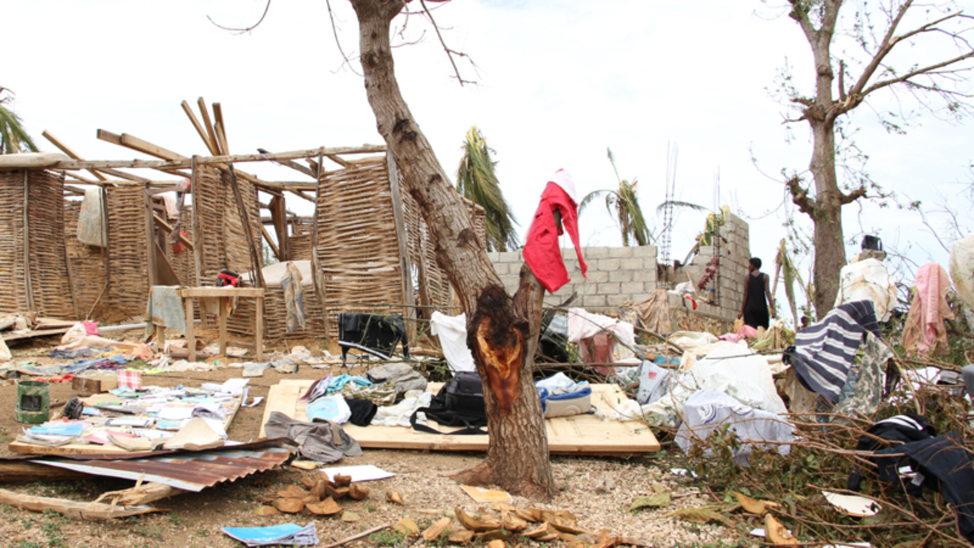 abf_emergenza-haiti_005