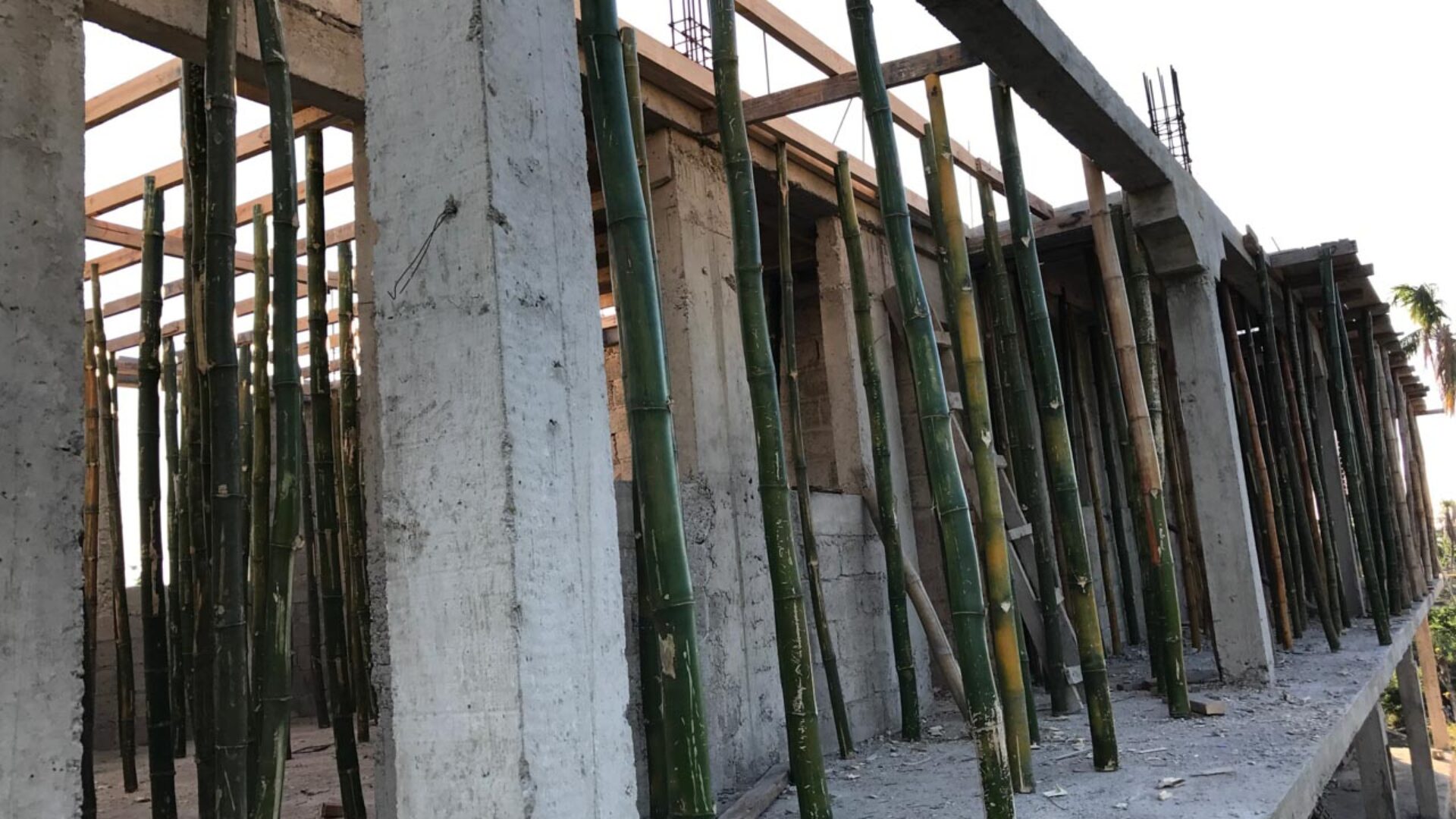 abf_manitane_dame_marie_02